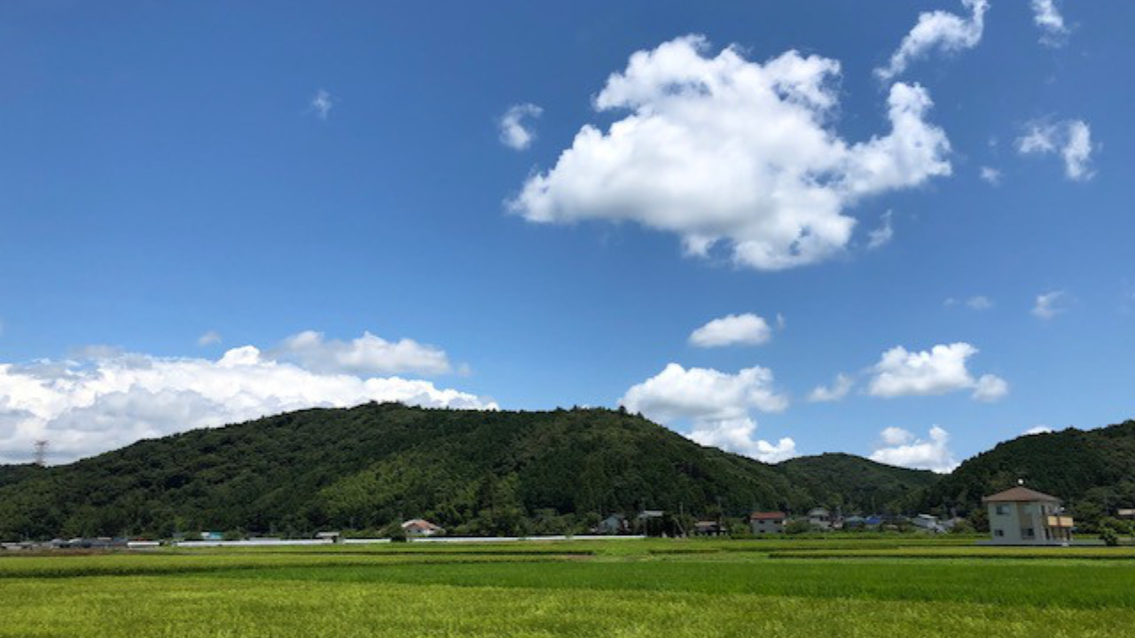 身近な田園風景