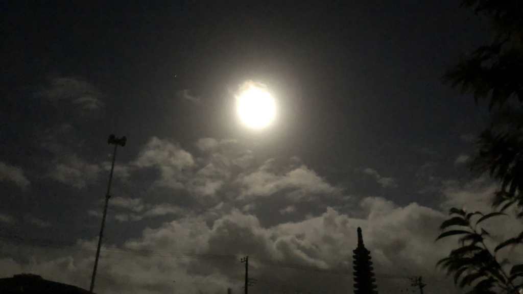 ライオンズゲート